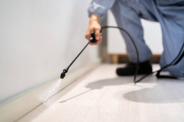 Licensed Exterminator service in Shenandoah Farms, VA - Show Me Pest Control